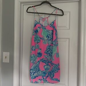 Gorgeous Lilly Pulitzer dress